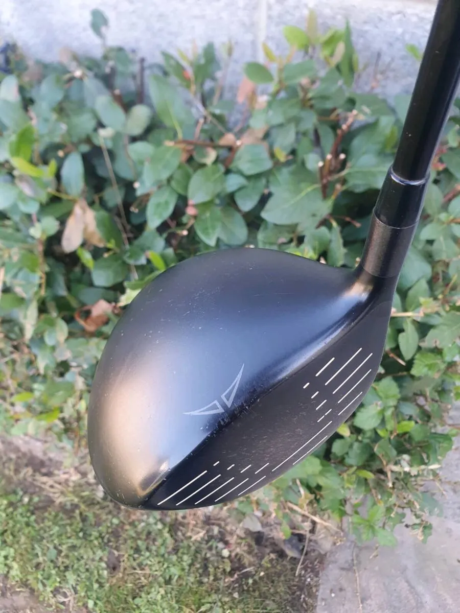 Ping i20 driver - Image 4