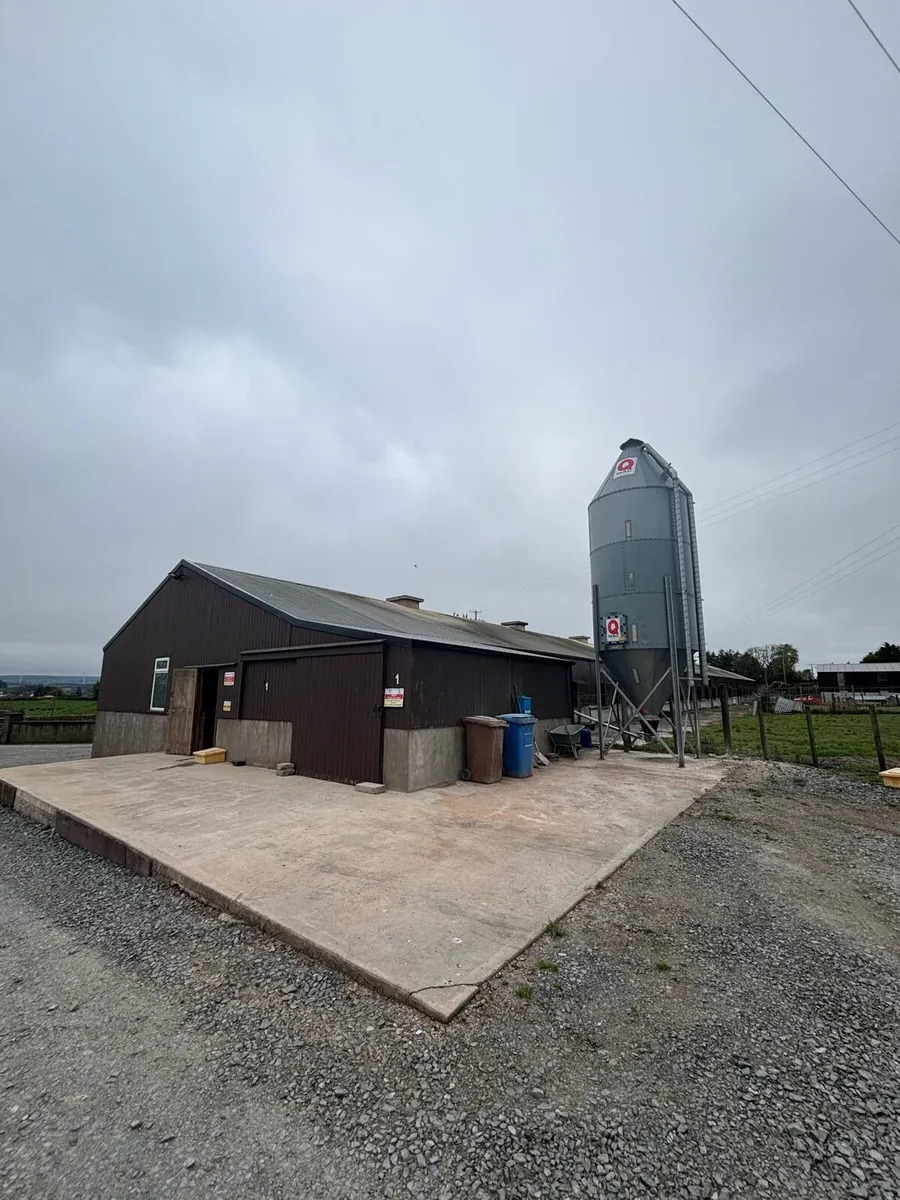 Hen House Building & Equipment - Image 1