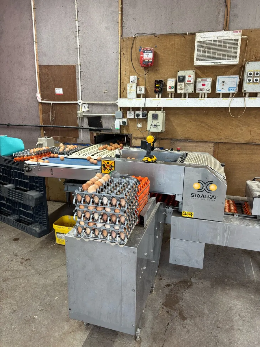 Hen House Building & Equipment - Image 3