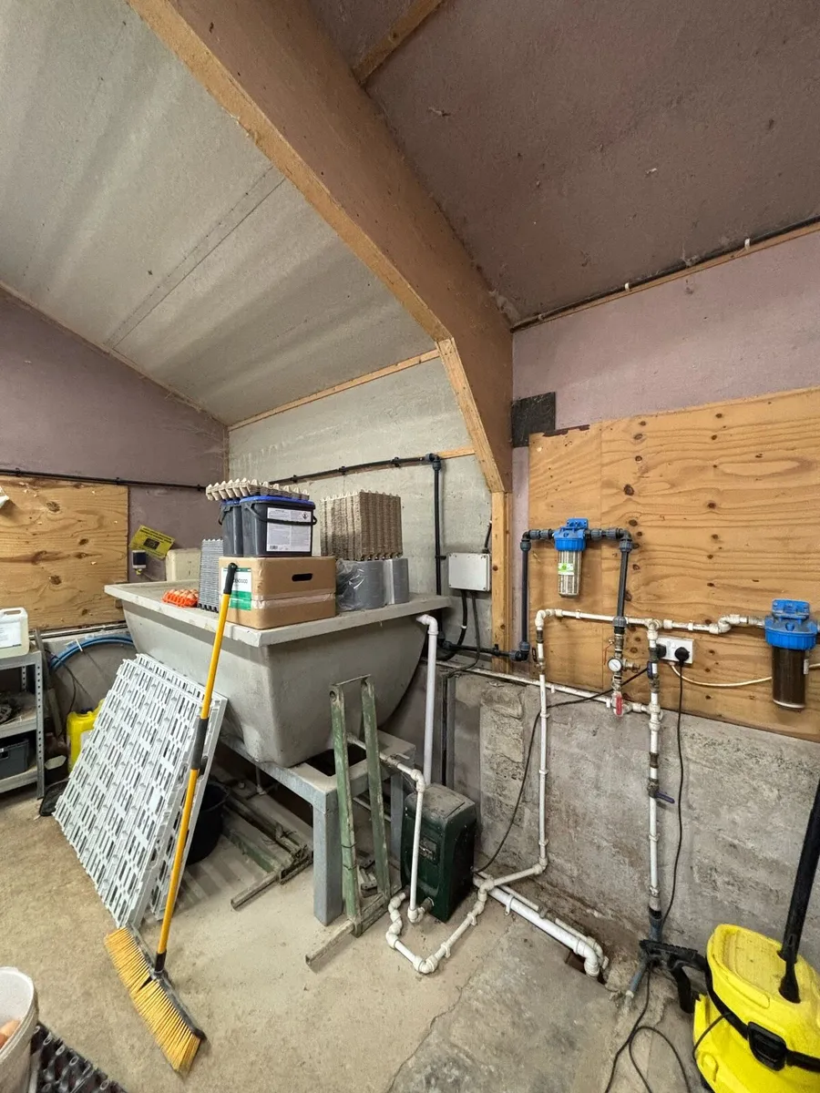 Hen House Building & Equipment - Image 4