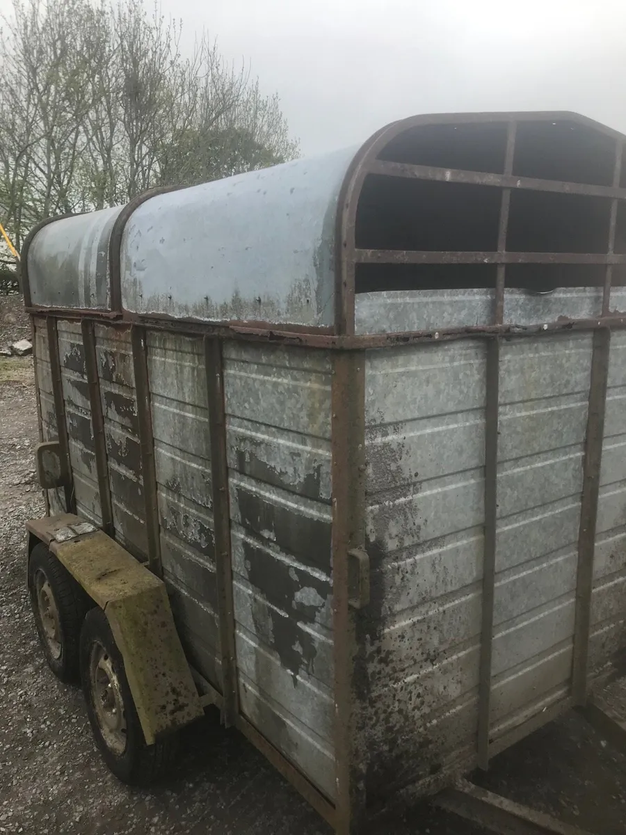 2 cow trailer - Image 1