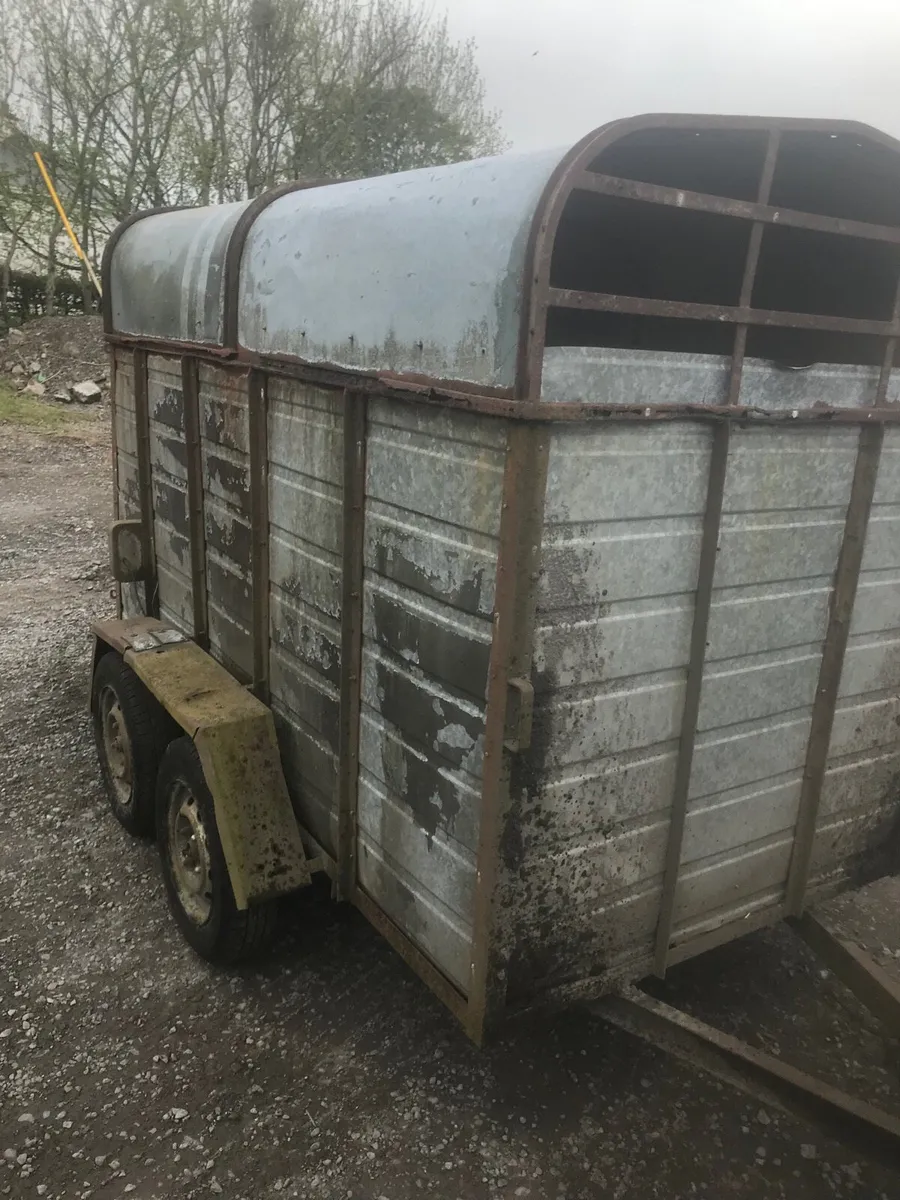 2 cow trailer - Image 2