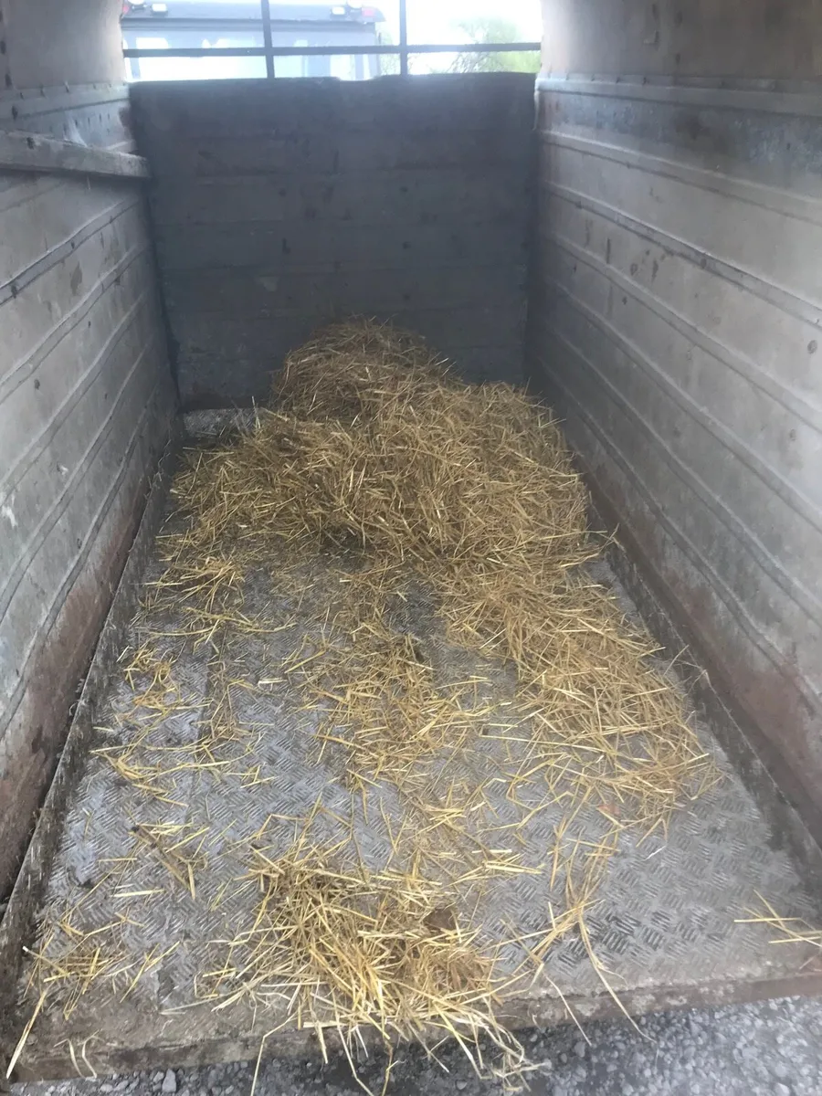2 cow trailer - Image 4