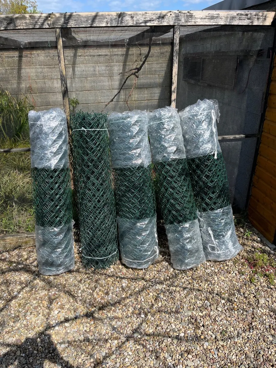 Galvanized PVC Coated Fence New - Image 1