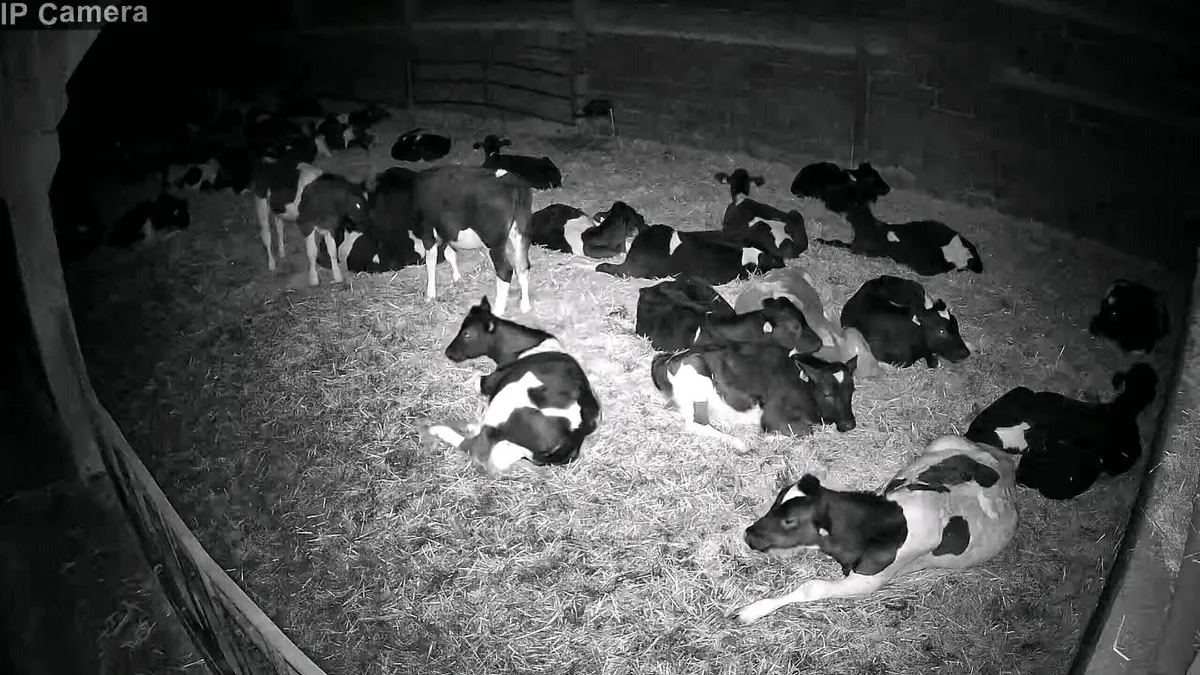 CCTV for Calving Season - Image 4