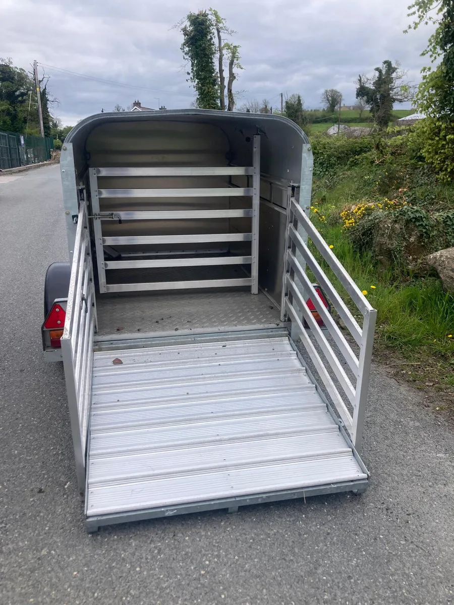 *Special*  Ifor Williams 6x4 Calf / Sheep Trailer - Image 3