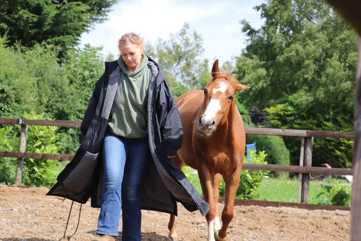 Kind & Brave 5yo Quarter Horse Mare - Image 3