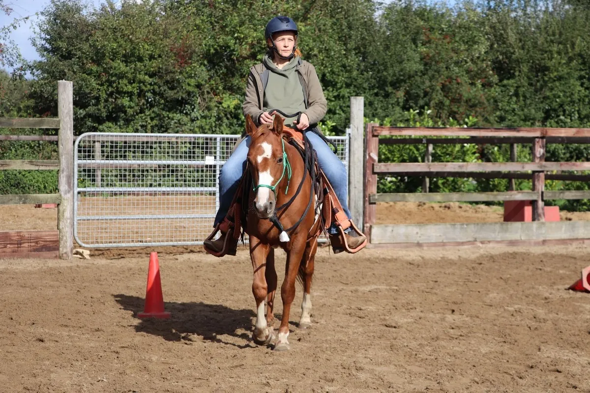 Kind & Brave 5yo Quarter Horse Mare - Image 4