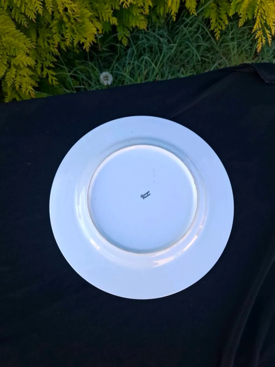 Limoges china plate - Image 2
