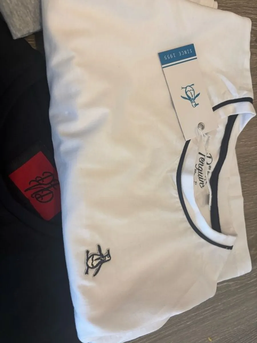 4 Tee Shirts - 13-14 yr old (sold together) - Image 2