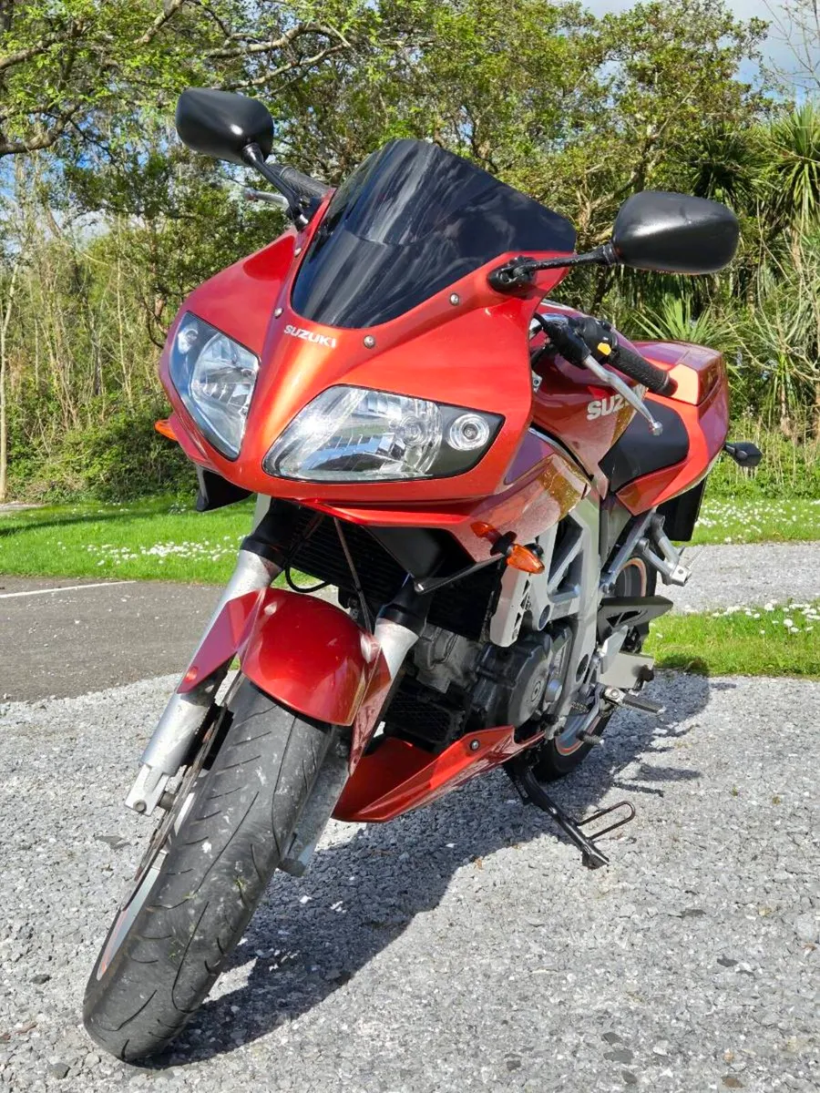 2003 Suzuki Sv650s - Image 3