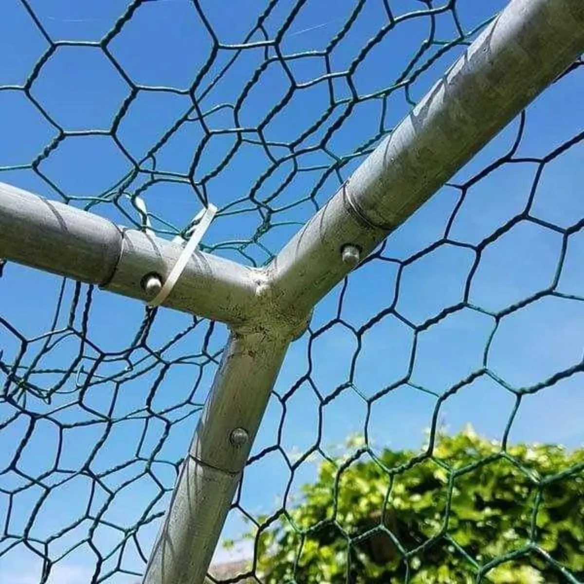 Hen Run With a Free Cover – 3M x 2M x 2M - Image 4