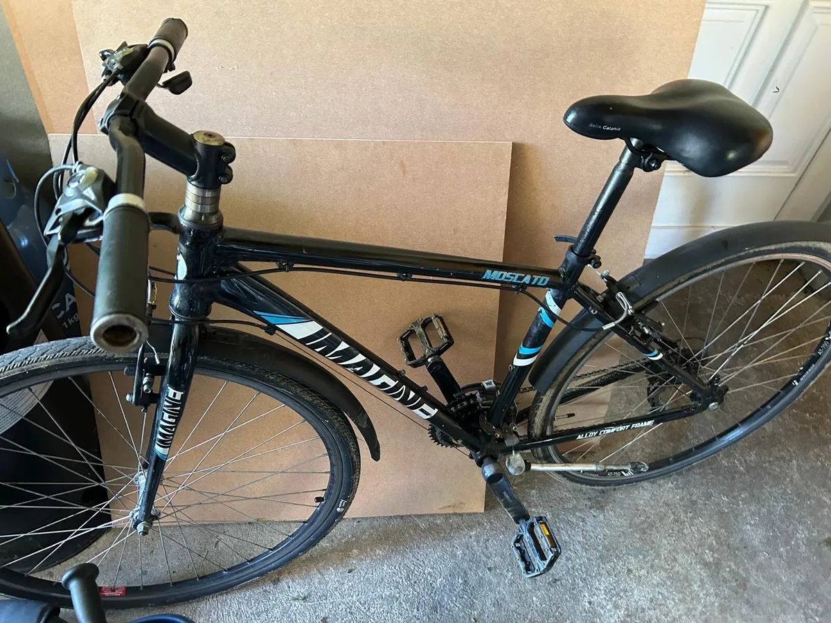 Adult bike for sale