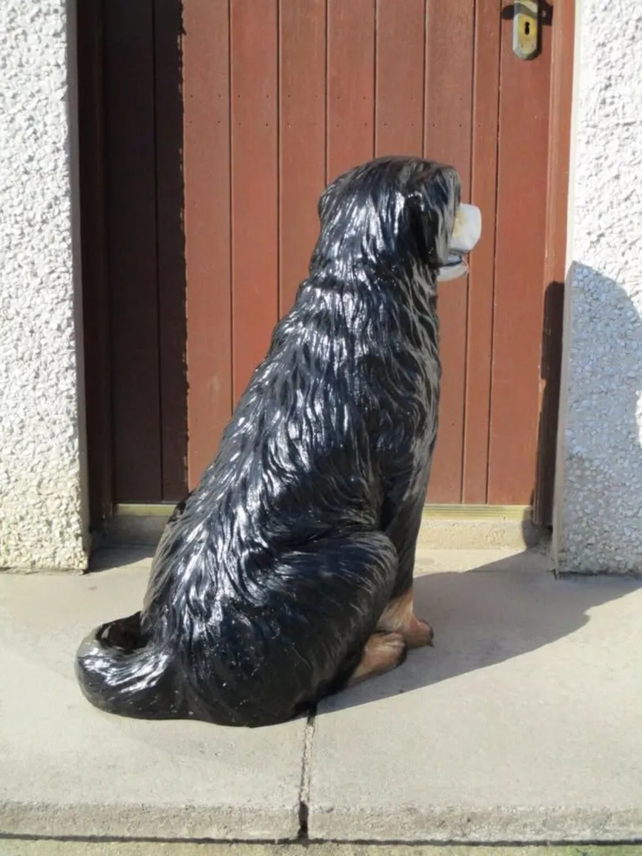 Large Bernese Mountain Dog - Image 3