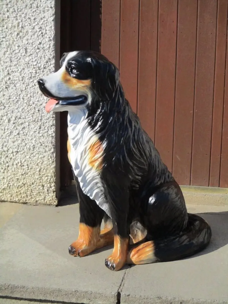 Large Bernese Mountain Dog - Image 1