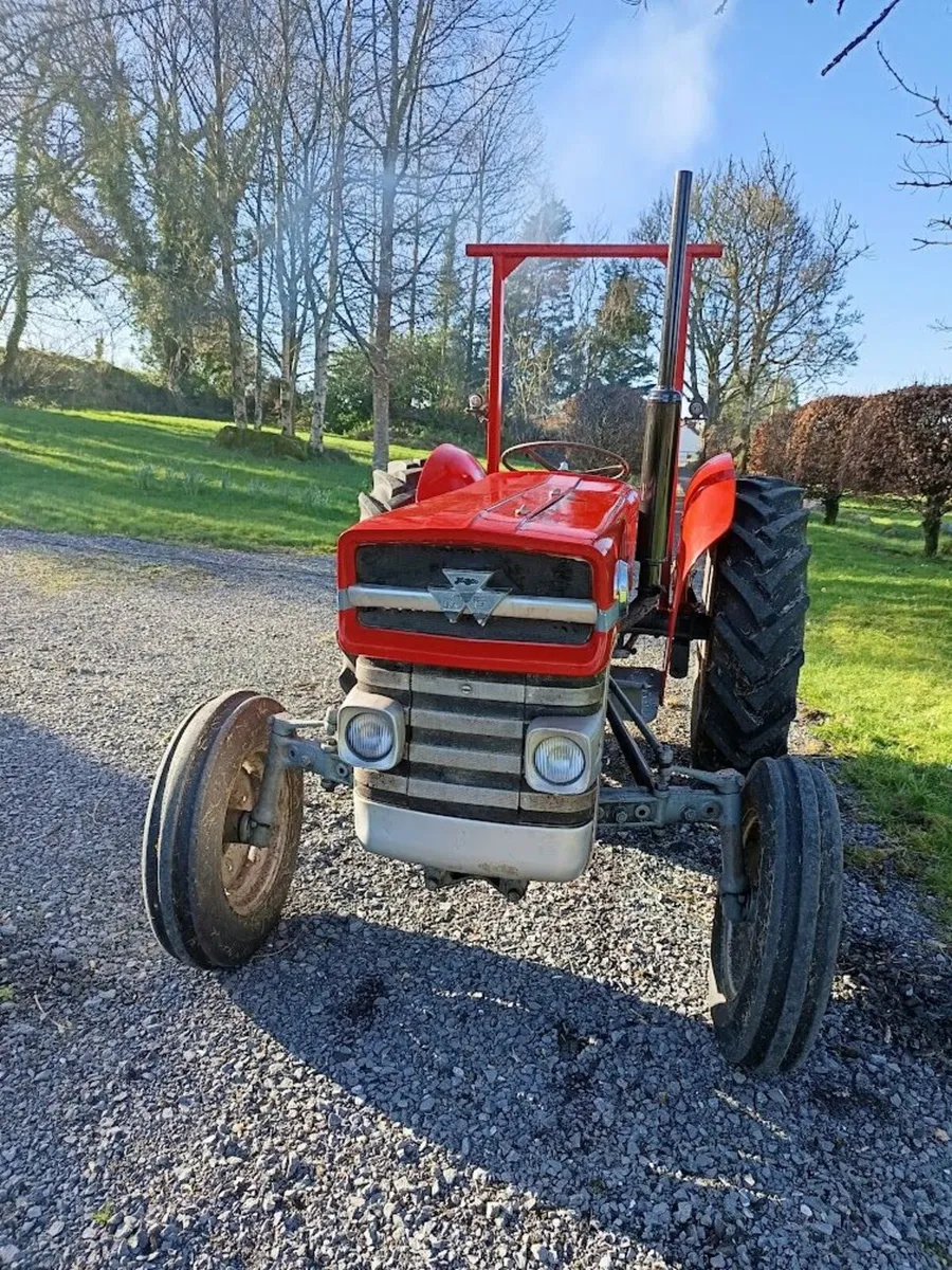 1976 Massey Ferguson 135 - Image 1