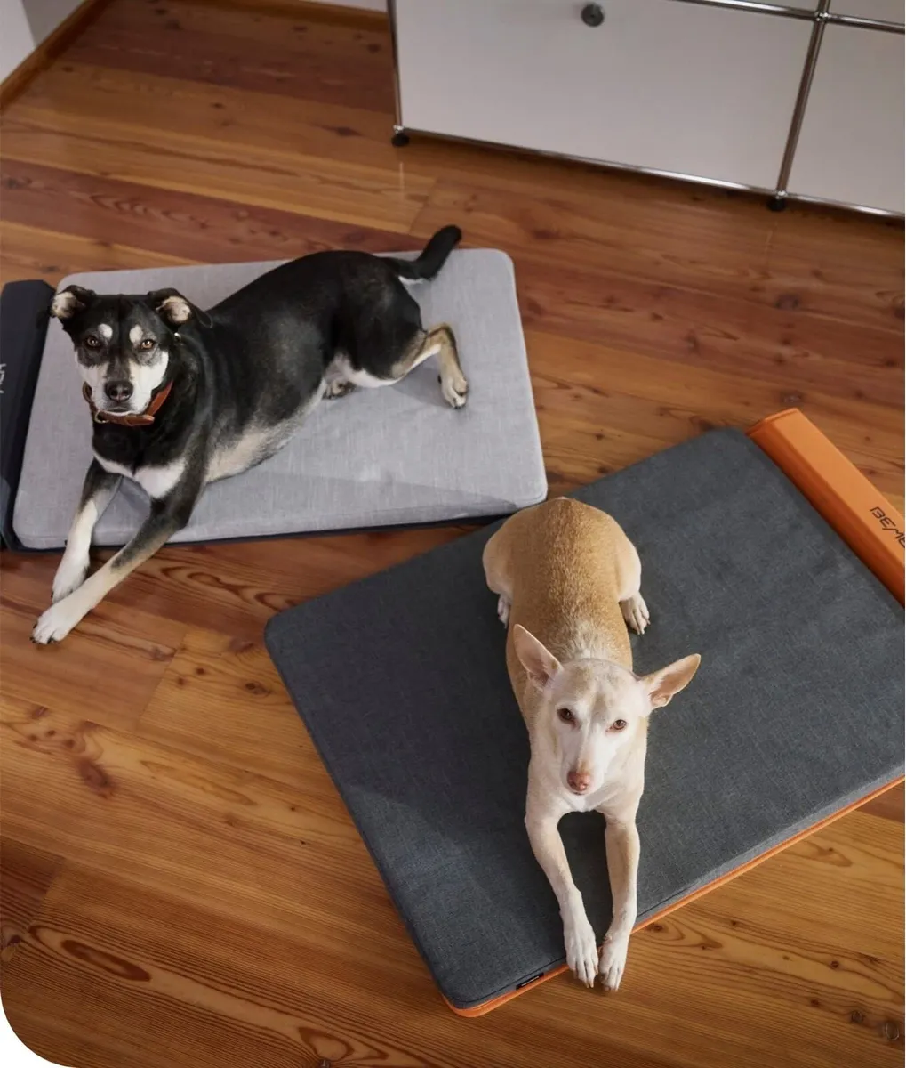 BEMER Dog PEMF Therapy - Image 1