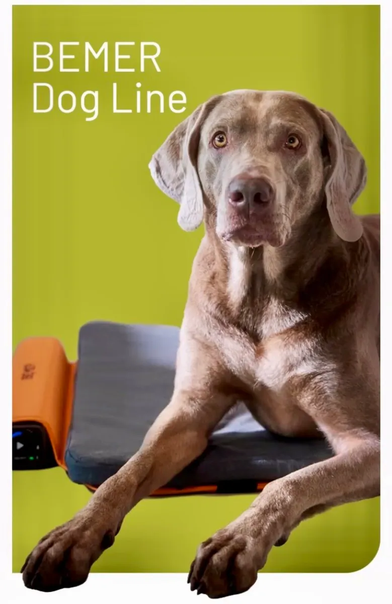 BEMER Dog PEMF Therapy - Image 2