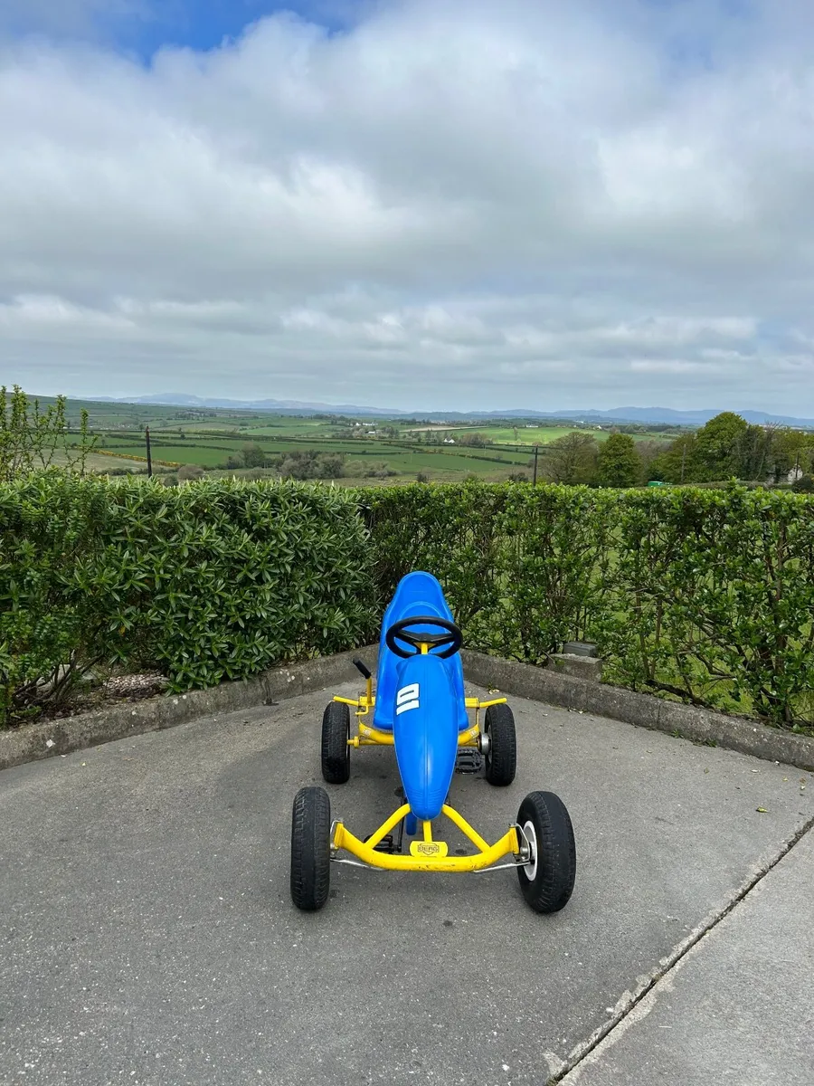 Berg Two Seat Go Kart - Image 1