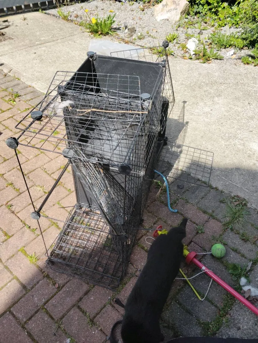 Cat house or small do also cat scratcher - Image 3