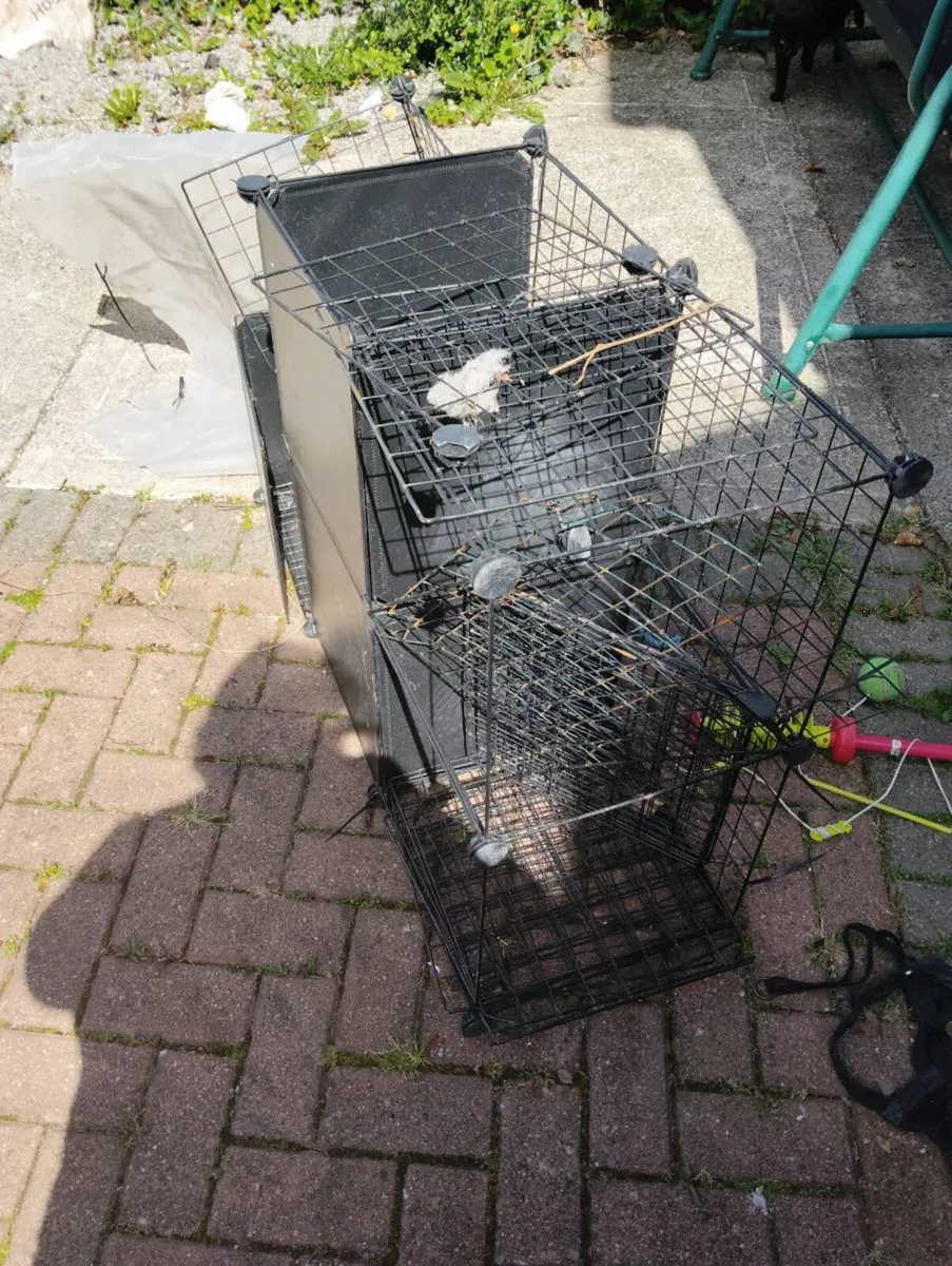 Cat house or small do also cat scratcher - Image 4