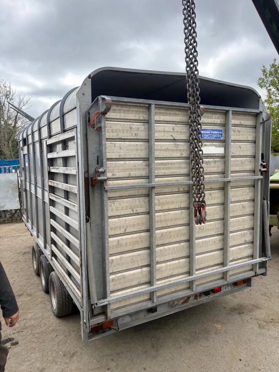 Ifor Williams 14ft dp cattle trailer - Image 2