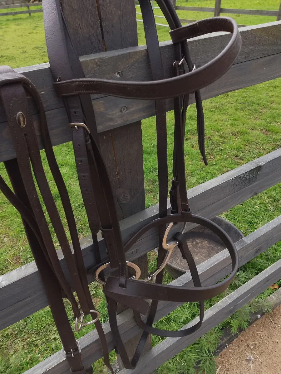 Horse Bridle - Image 3