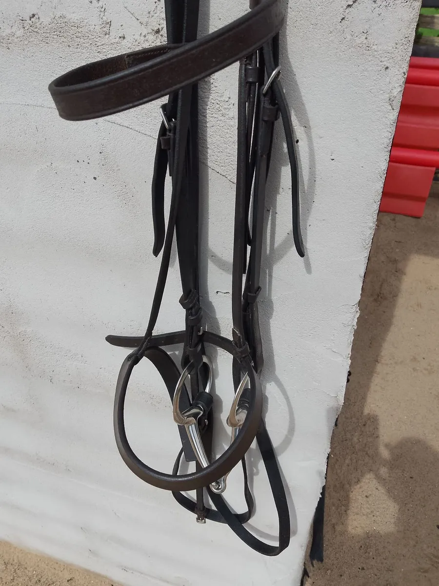 Horse Bridle - Image 2