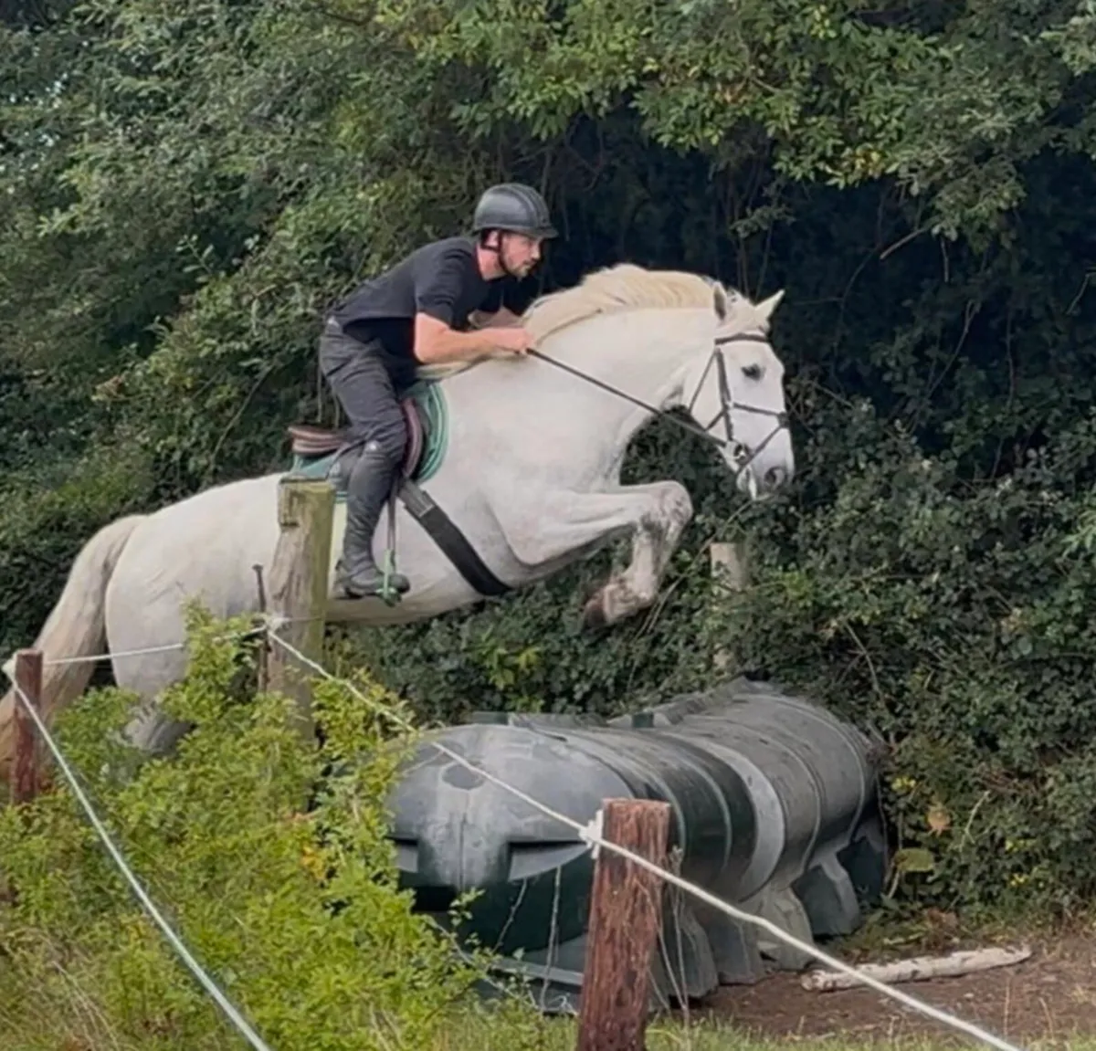 Goresbridge Thur 7th Allrounder Gelding 5yo Lot300 - Image 2