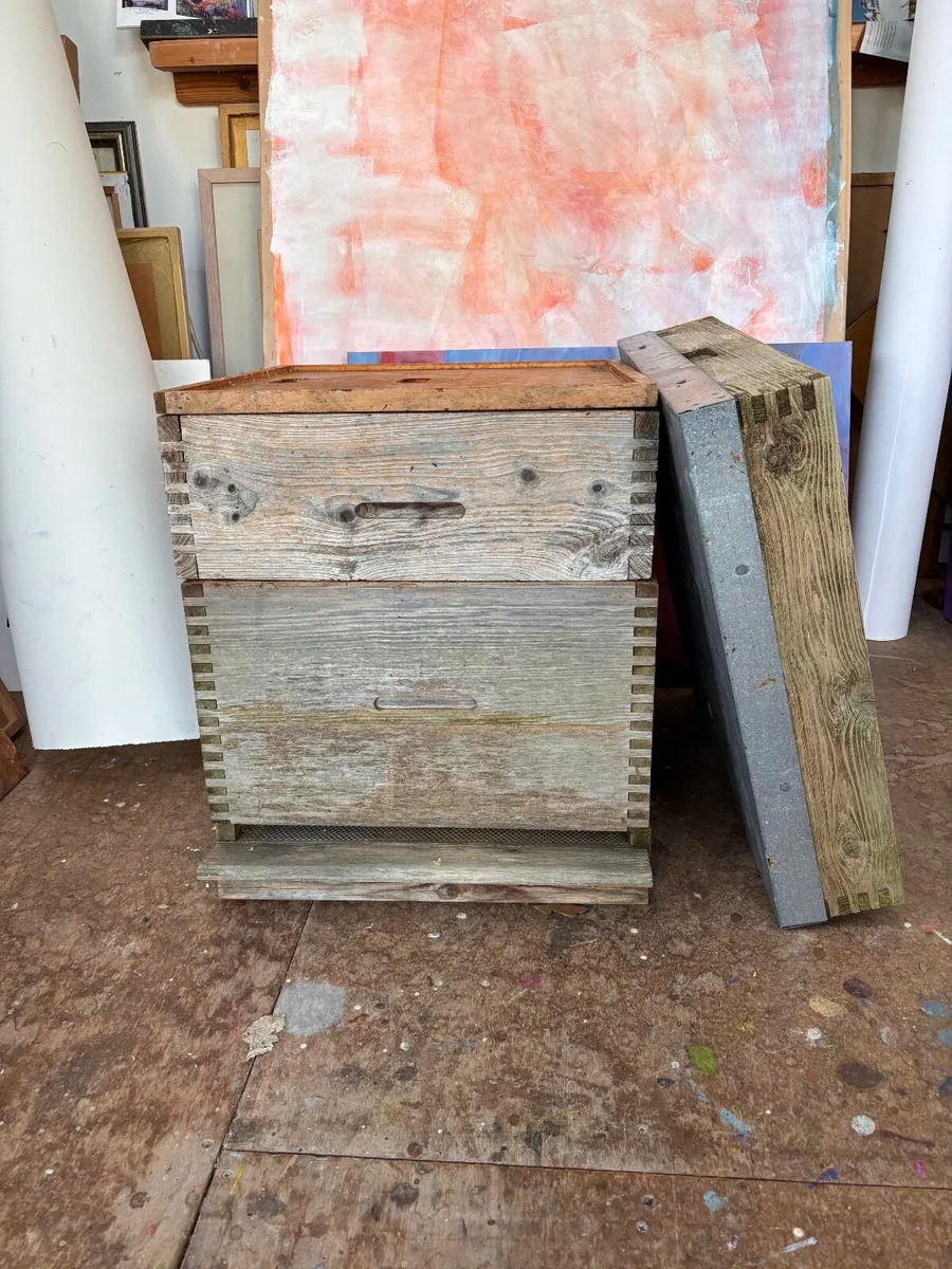 A commercial bee hive - Image 3