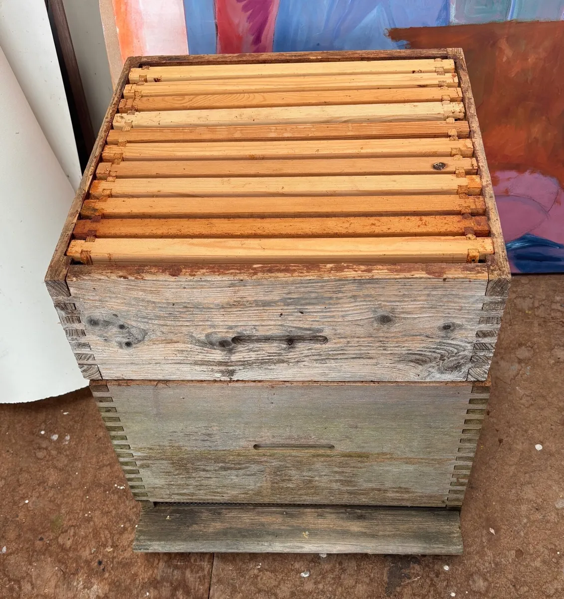 A commercial bee hive - Image 4