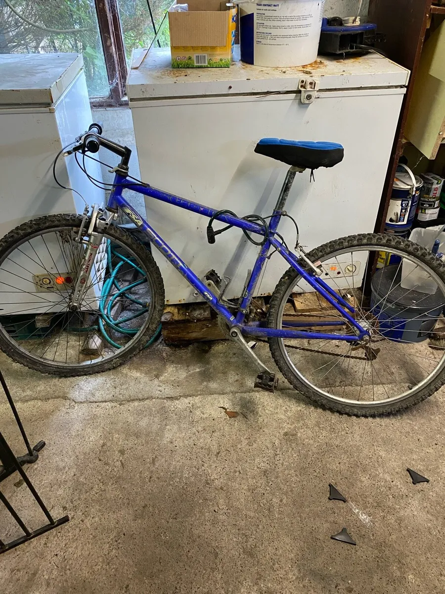 FAS bicycle - Image 1