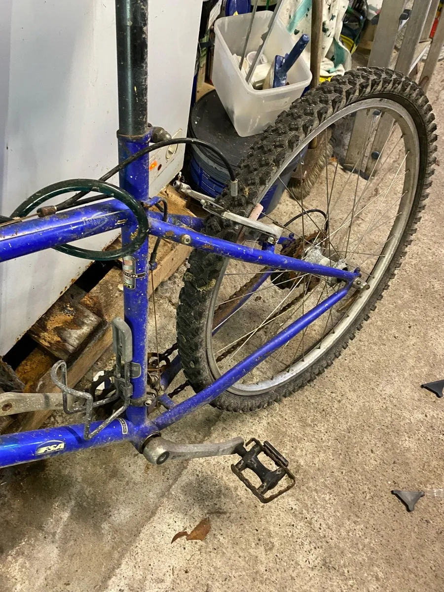 FAS bicycle - Image 3