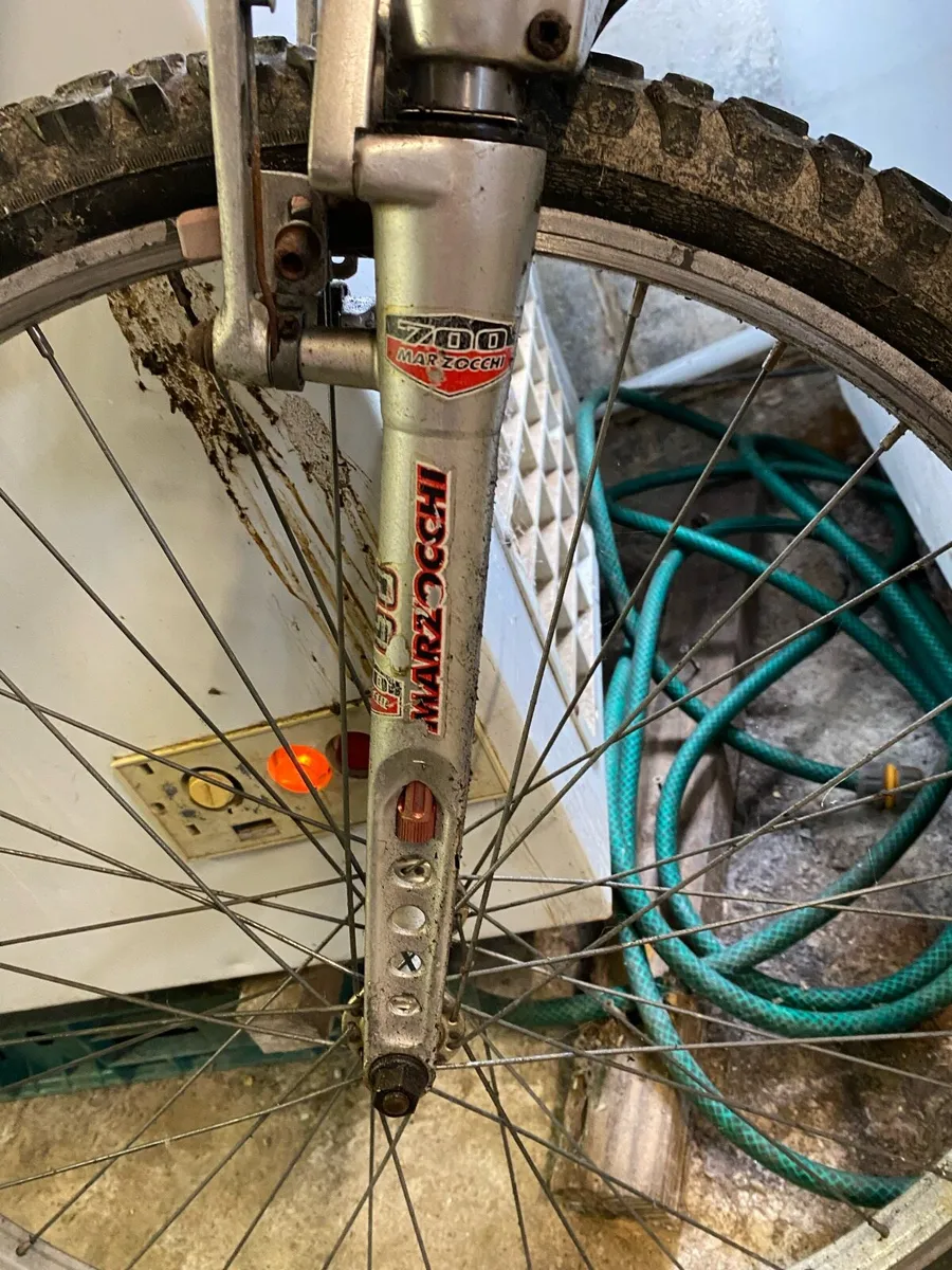 FAS bicycle - Image 4