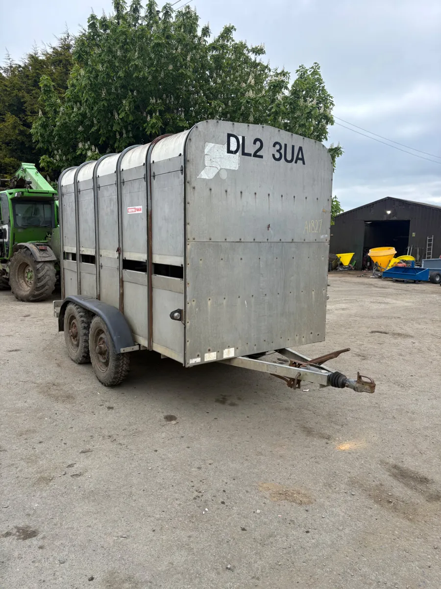 Ifor Williams 10ft cattle trailer - Image 1
