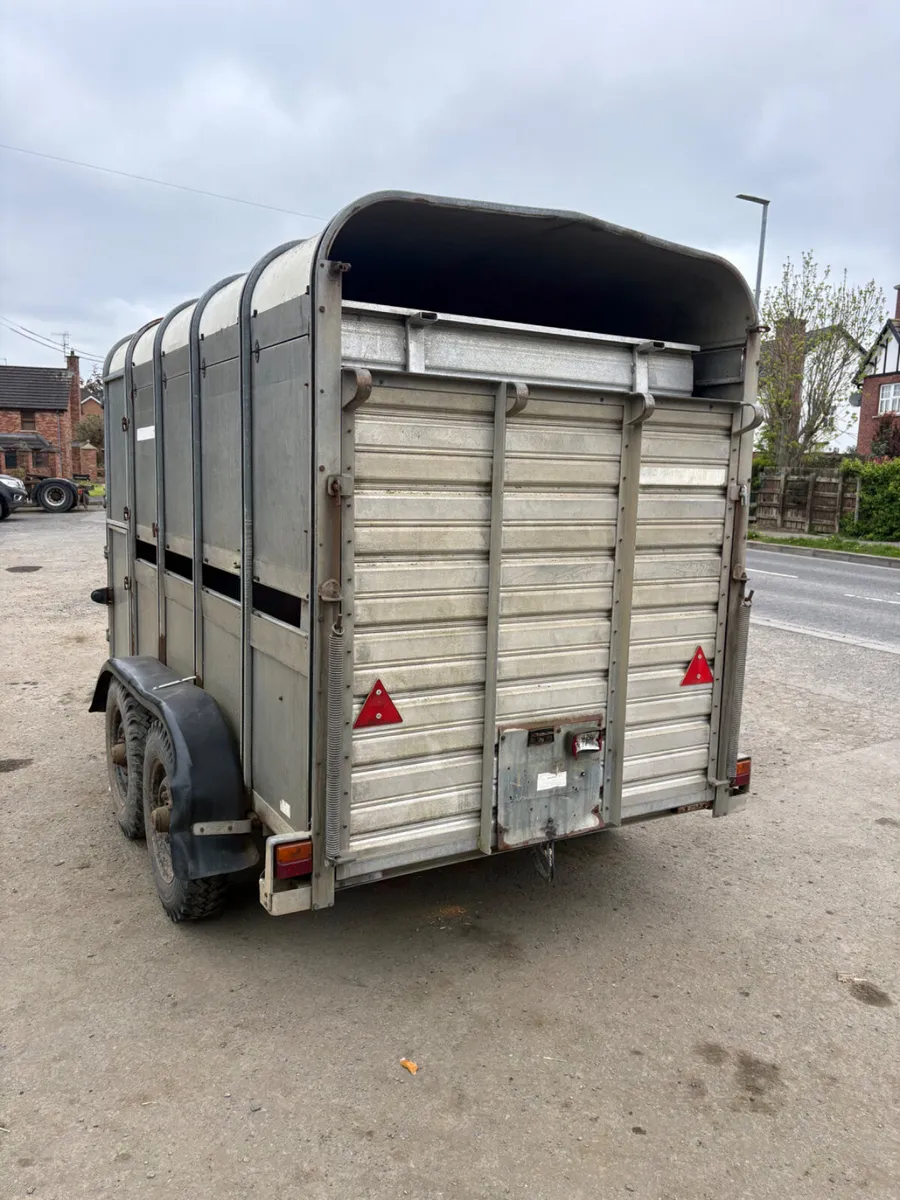 Ifor Williams 10ft cattle trailer - Image 2