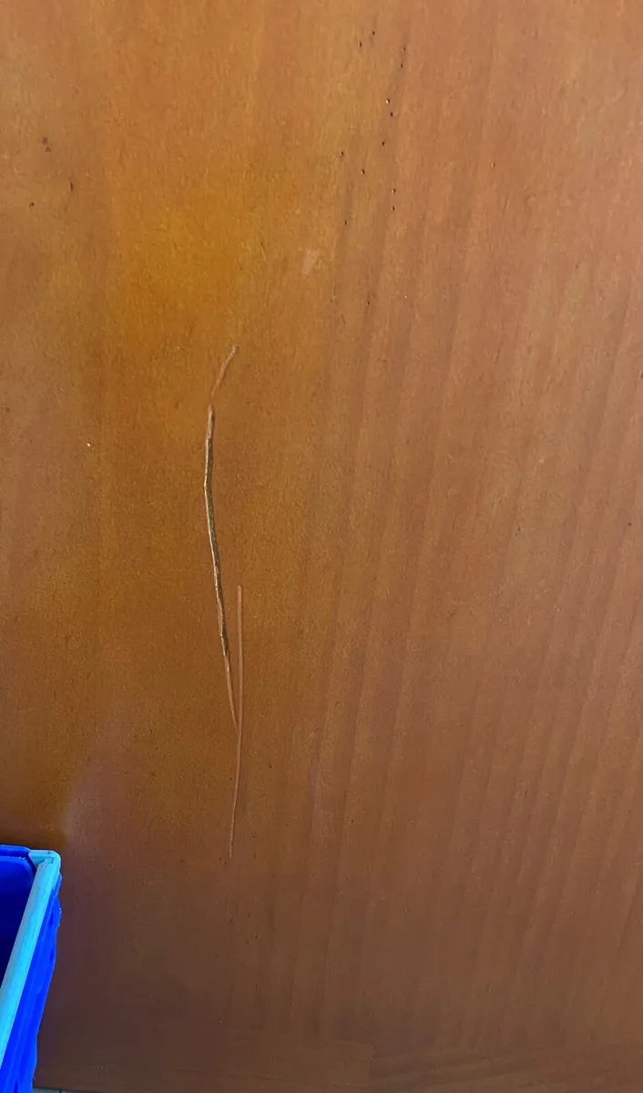 Kitchen Table - Image 3