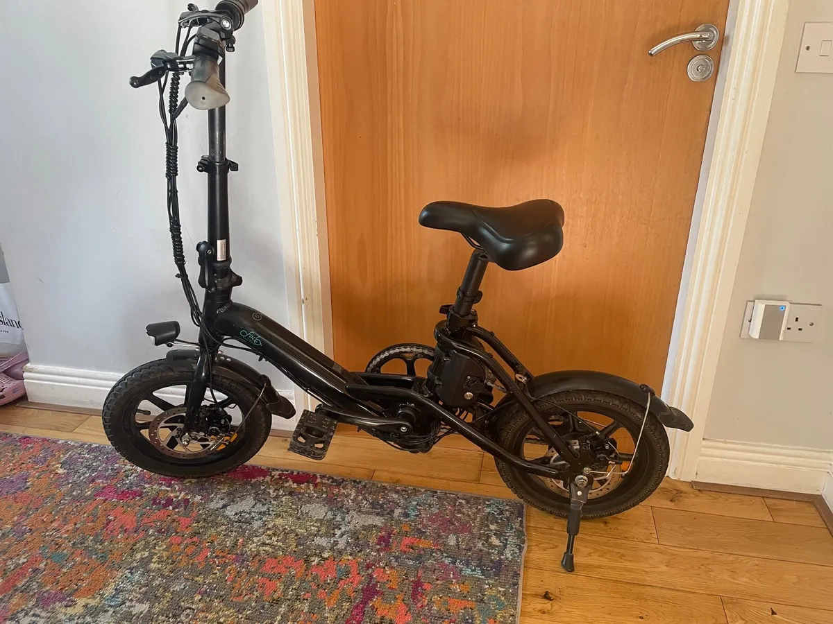 Fiido D3 Pro Electric bike - Image 1