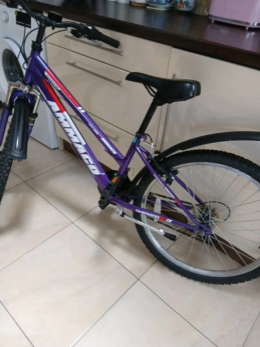 GIRLS MOUNTAIN BIKE 24 INCH WHEELS AS NEW - Image 1