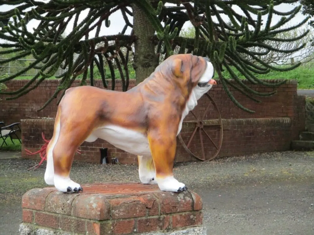 Extra-Large Bulldog Statue - Image 3