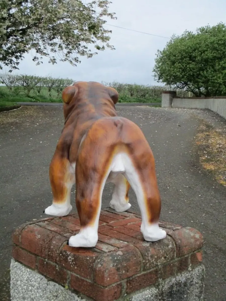 Extra-Large Bulldog Statue - Image 4