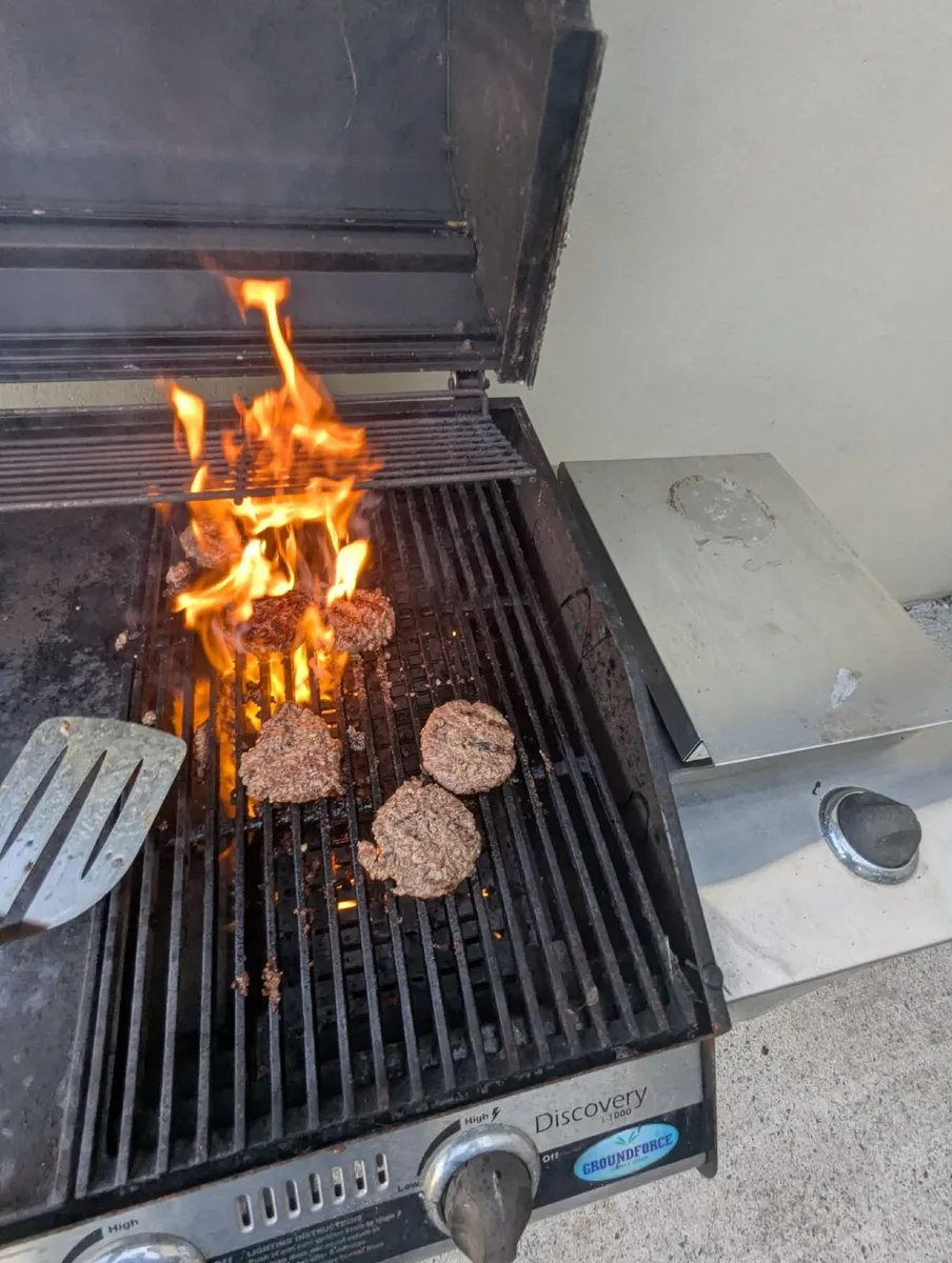 BBQ - Image 2