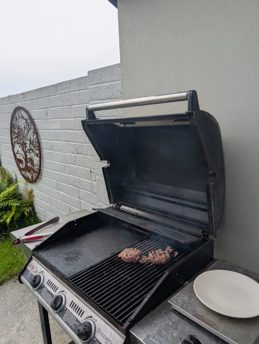 BBQ - Image 4
