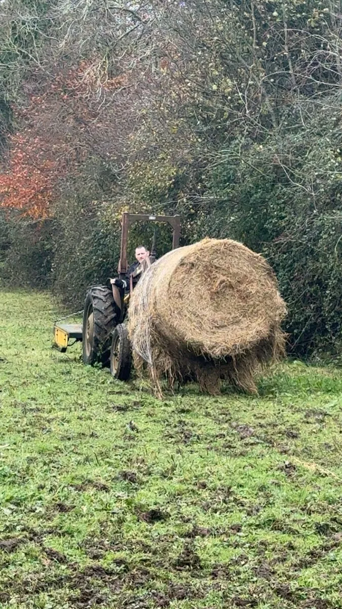 Massey Ferguson 35 Tractor - Image 3