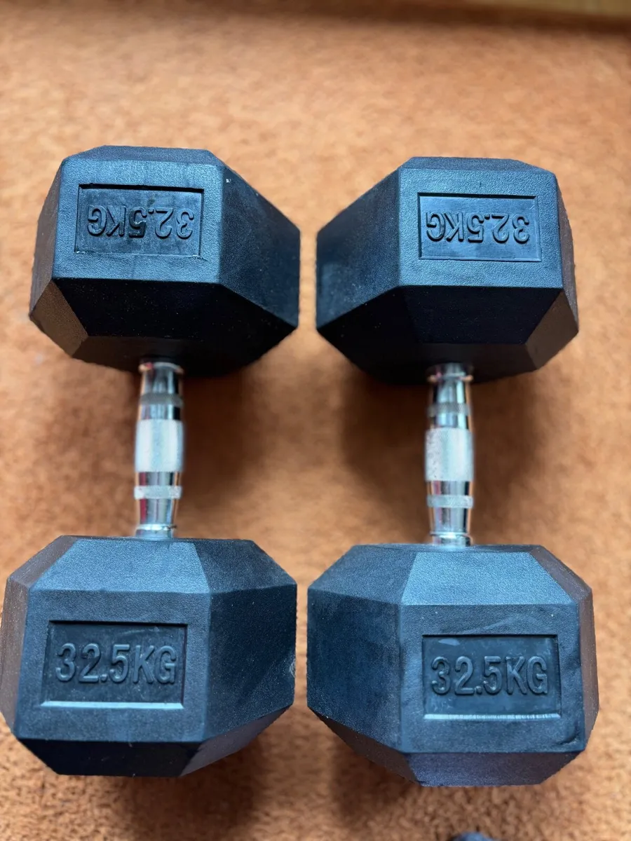 2 x 32.5kg Dumbells - Image 2