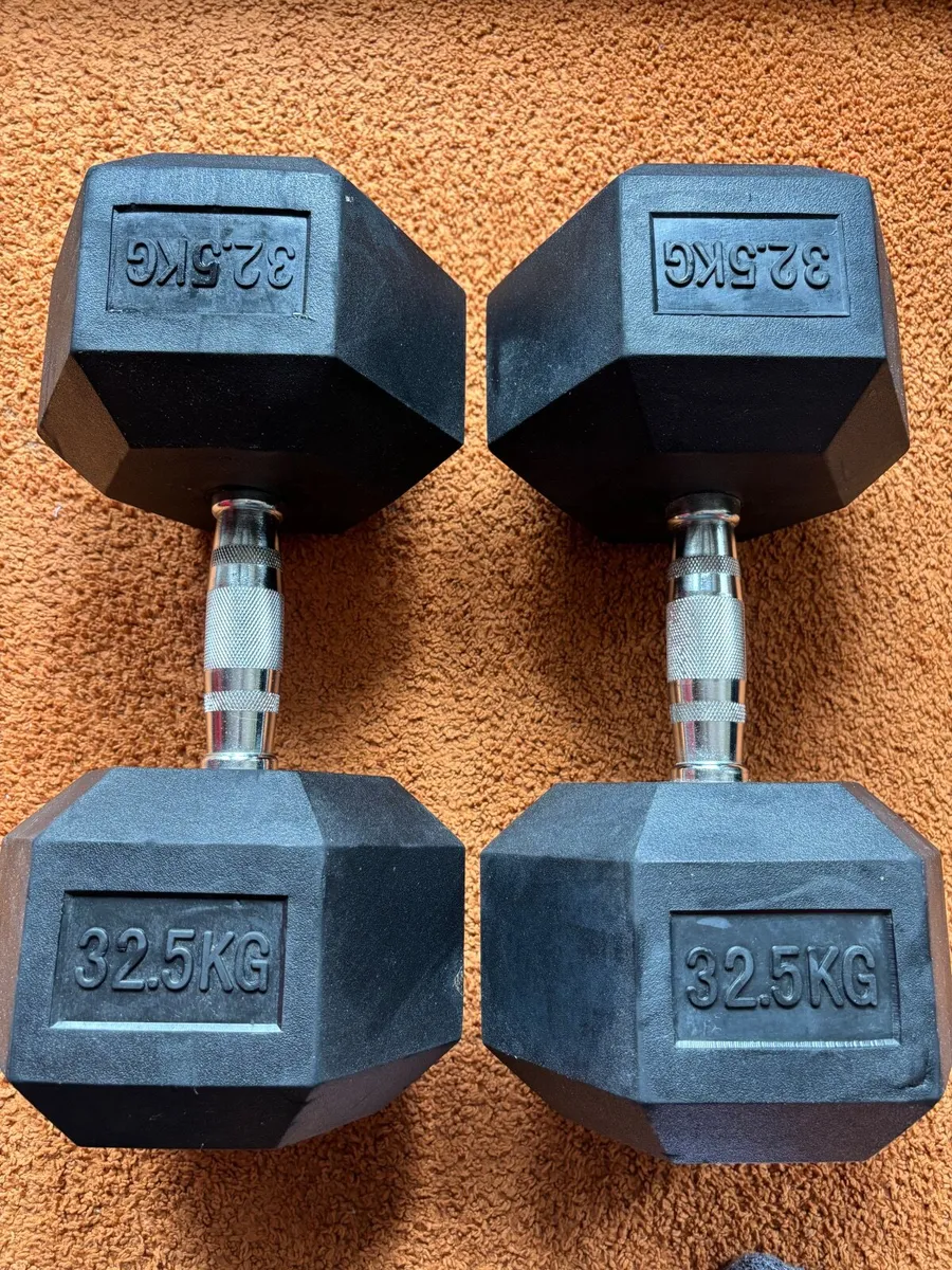2 x 32.5kg Dumbells - Image 1