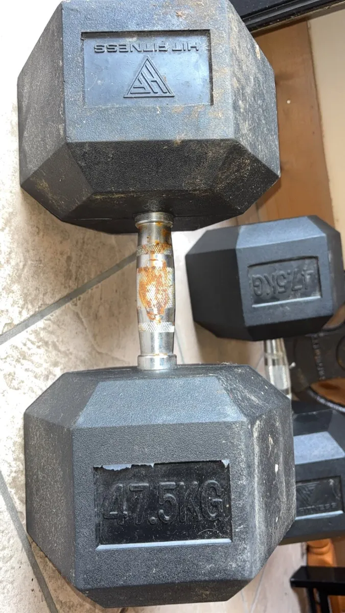 2x 47.5kg Dumbbells & 15kg plate - Image 2