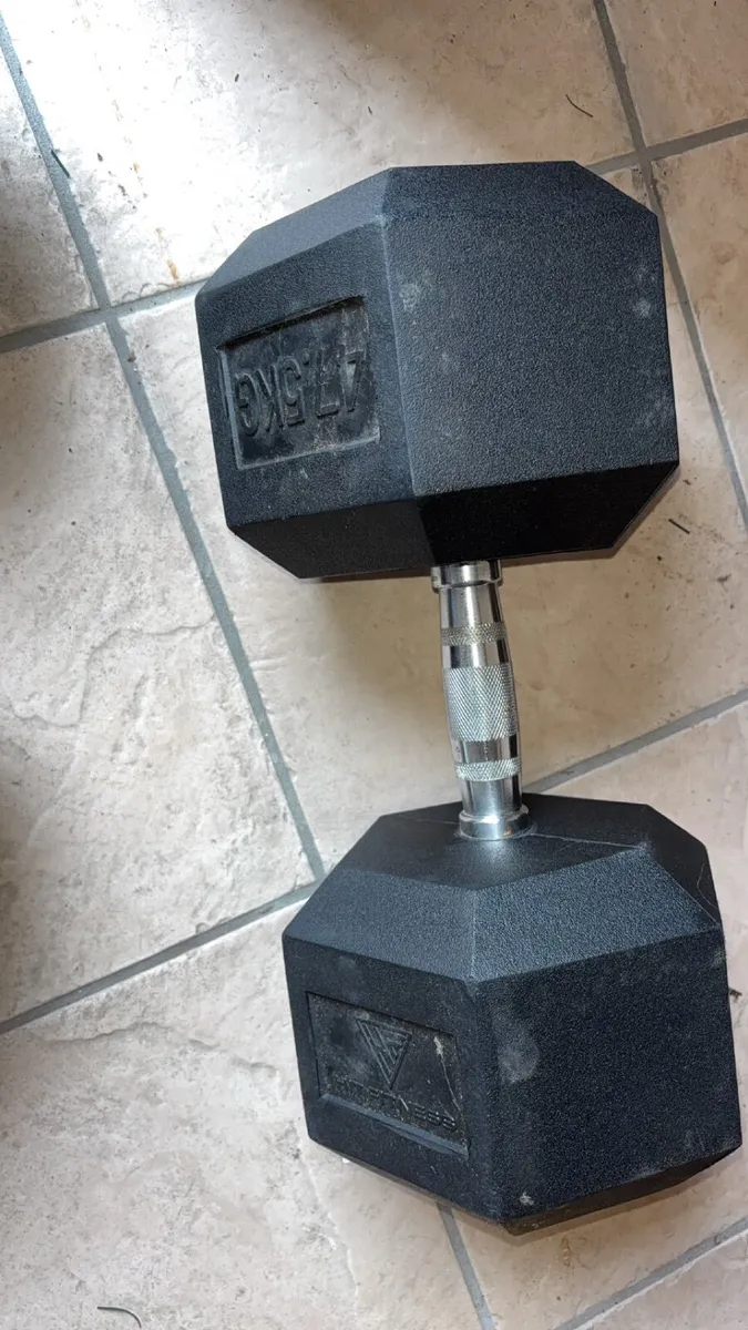 2x 47.5kg Dumbbells & 15kg plate - Image 1