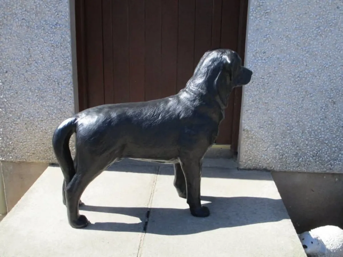 Large Labrador Statue - Image 3