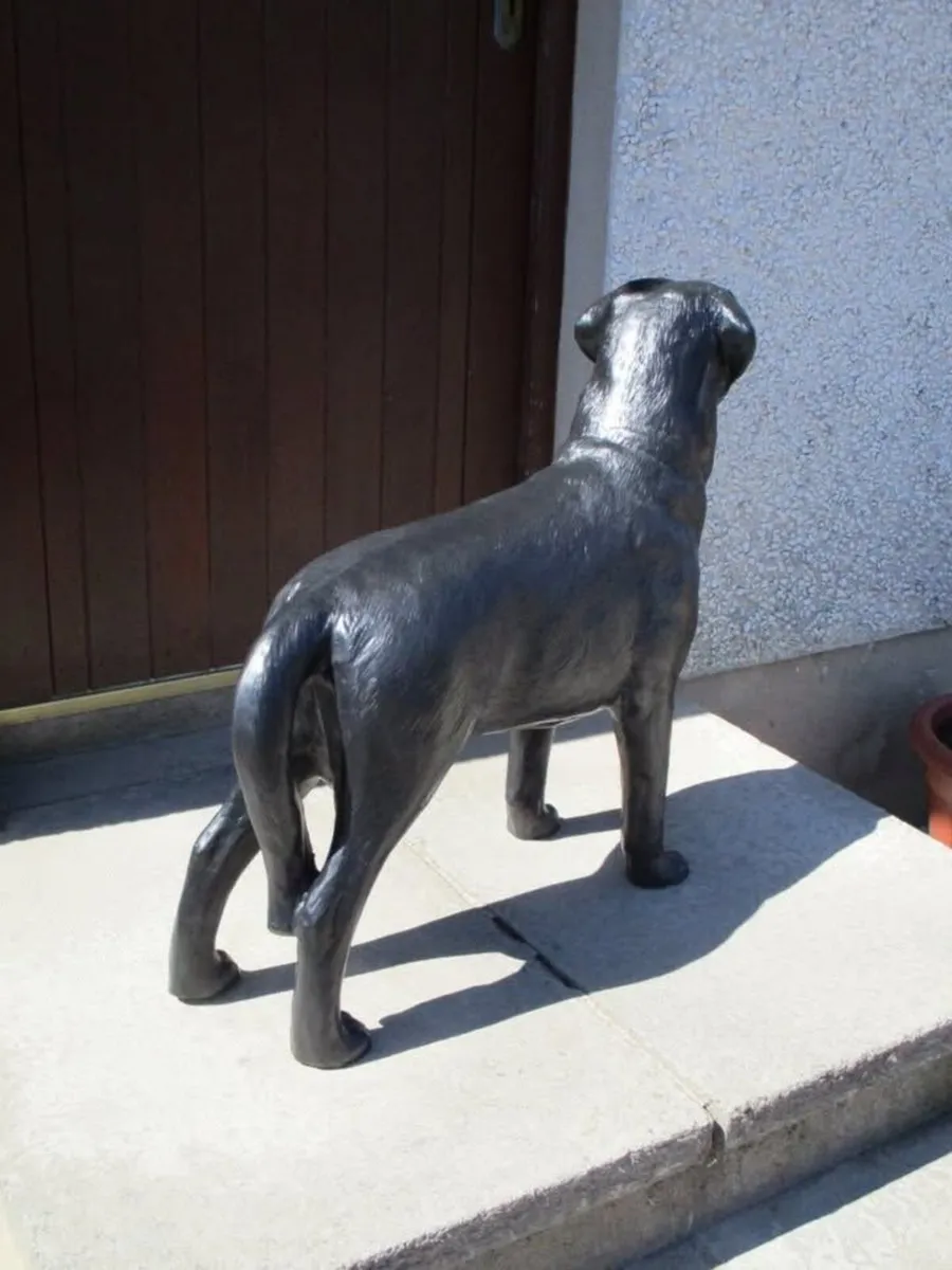 Large Labrador Statue - Image 4